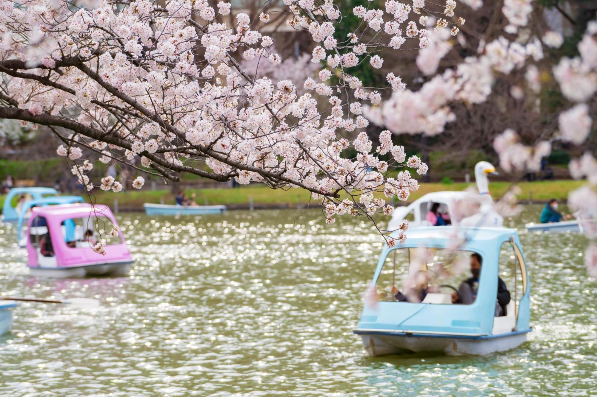 Отель Mimaru Tokyo Ueno North Экстерьер фото